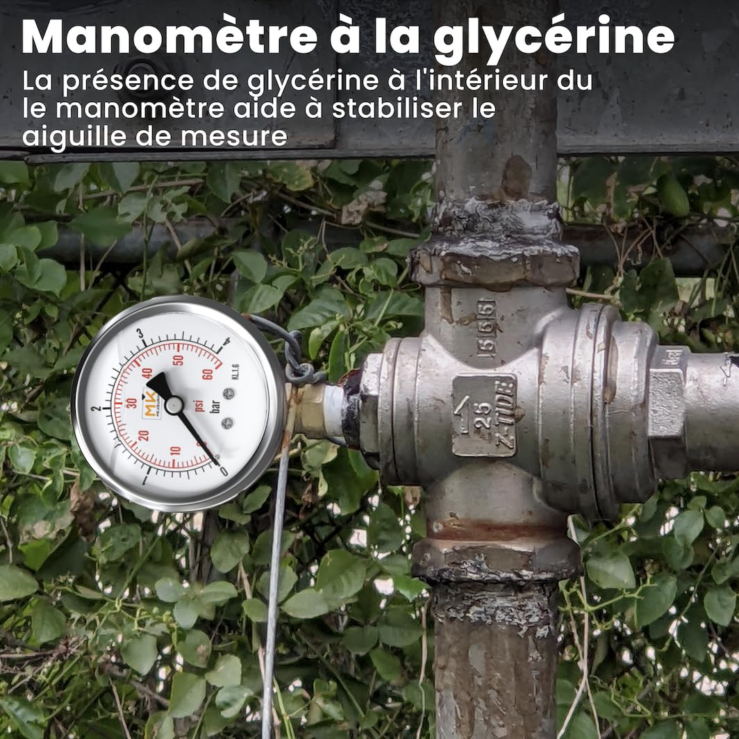 Manomètre glycérine 0-4 bar connexion 1/4 NPT, boîtier en acier inoxydable avec teflon et adaptateur 1/4 NPT vers 1/4 BSP pour testeur de compression, pression air, huile, pneu, eau, gaz et essence